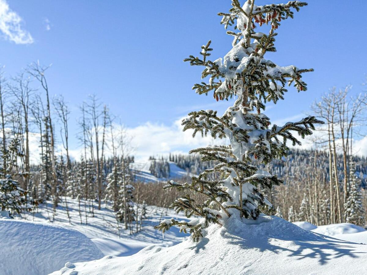 Eagle Roost Retreat By Ski Lifts Brian Head Exterior foto